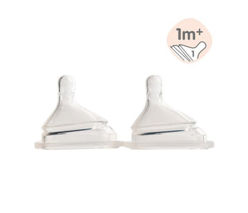 Hegen Teat Slow Flow, 2-Pack